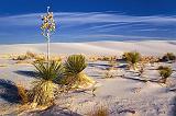 White Sands_32022